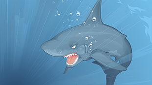 gray killer shark illustration HD wallpaper