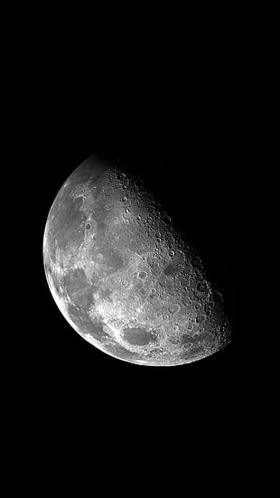 gray half moon, space, vertical, portrait display, Moon
