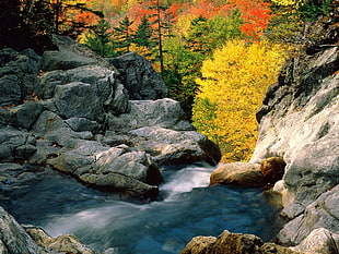 photo of gray rock formation beside a river