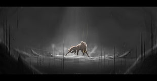 brown animal digital wallpaper, wolf, fantasy art, night, forest