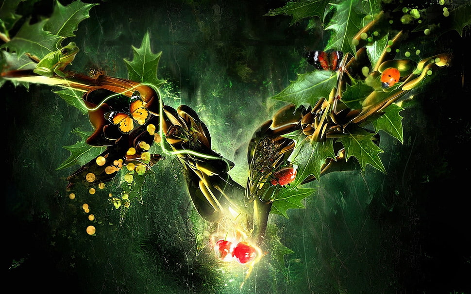 green and brown mistletoe digital wallpaper HD wallpaper
