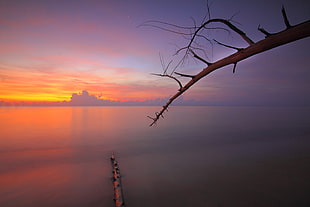 jetty, sea, dawn, nature HD wallpaper