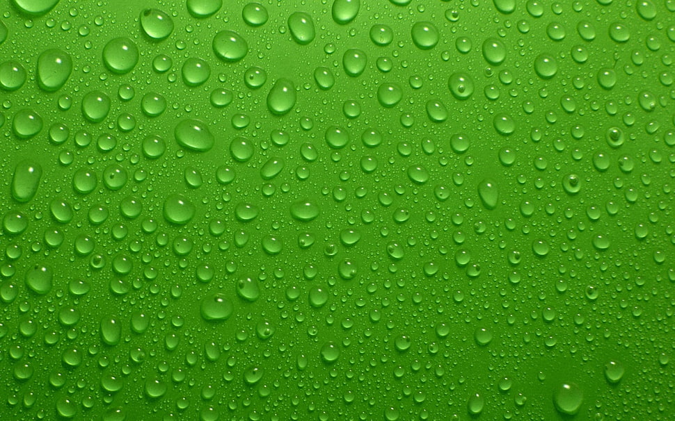 sprite label HD wallpaper