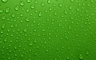 sprite label