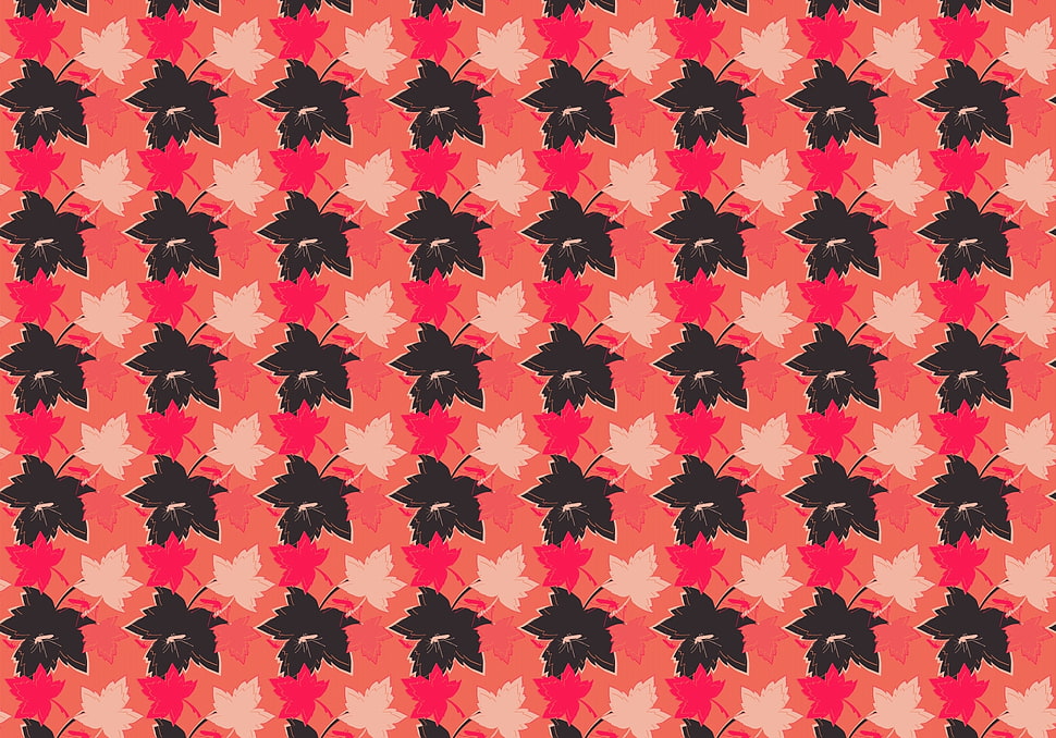 white, black, and pink maple leaf illustration HD wallpaper