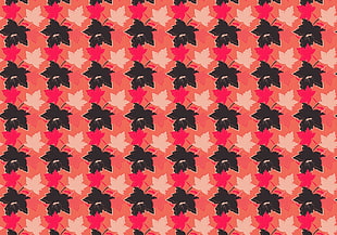 white, black, and pink maple leaf illustration