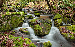 time lapse photography of waterfalls surrounded by rocks filled with moss HD wallpaper