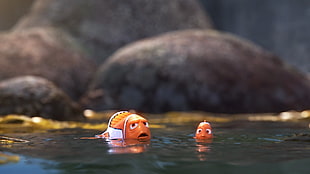Nemo screenshot, Finding Dory, Pixar Animation Studios, Disney Pixar, movies HD wallpaper