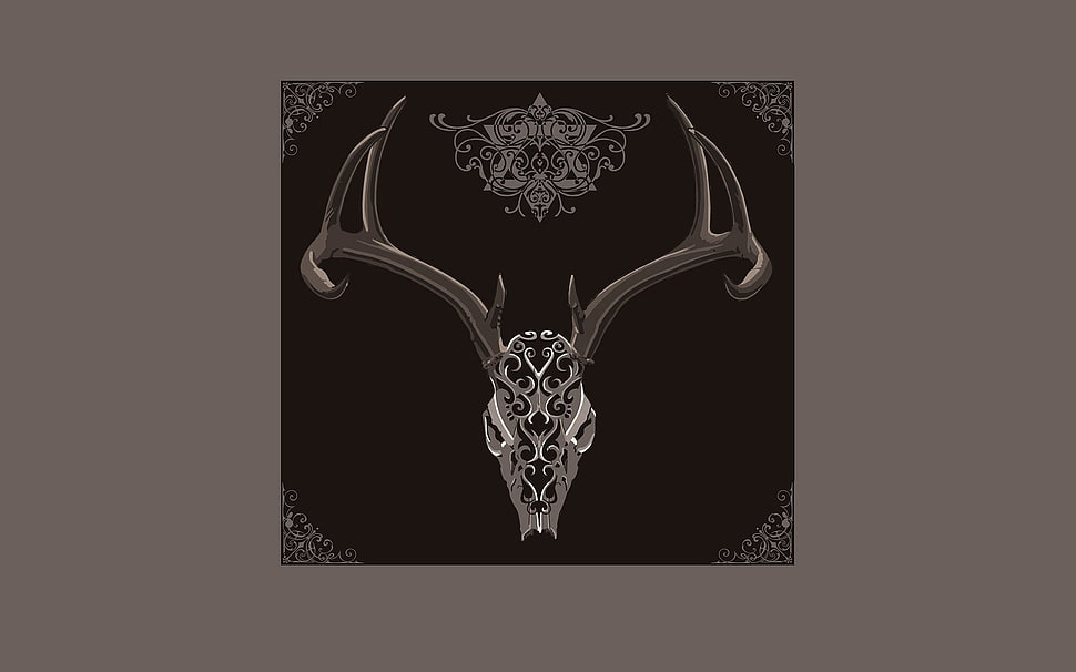 white and brown bull skull wall decor, artwork, deer HD wallpaper