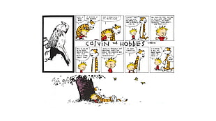 Calvin and Hobbes comic series