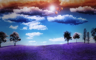 purple garden, landscape, hot air balloons, clouds, sky