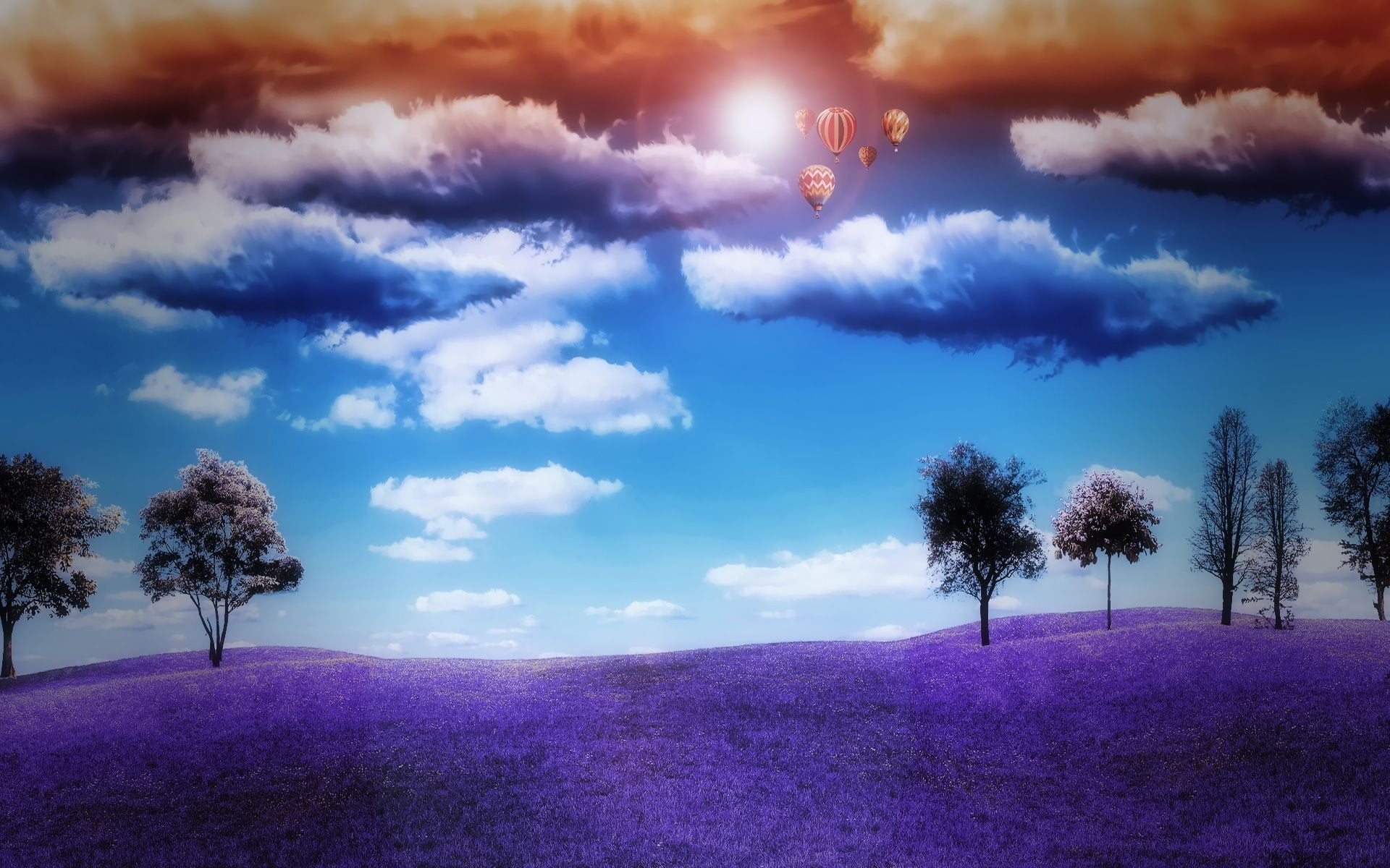 purple garden, landscape, hot air balloons, clouds, sky