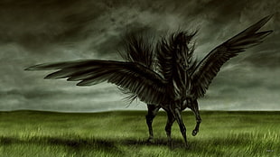 black pegasus, fantasy art