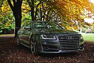 black Audi sedan, car, Audi, Audi s8 HD wallpaper