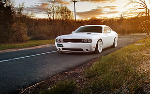 white coupe driving on road HD wallpaper