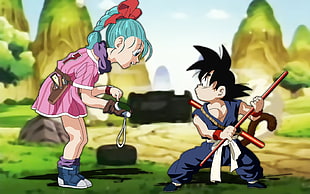 Dragon Ball Z Goku and Bulma illustration HD wallpaper