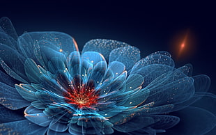 closeup photo of blue petaled flower graphic wallpaper