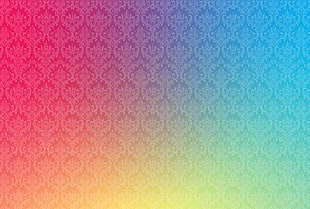 pink, purple, green and yellow illustration