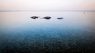 calm body of water during daytime, garda lake, sirmione, italy