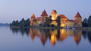 beige concrete castle, palace, Trakai