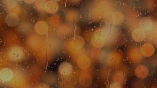 rain moist, Glass, Drops, Surface HD wallpaper