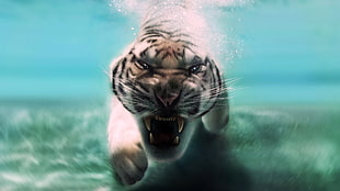 brown and white tiger illustration, feline