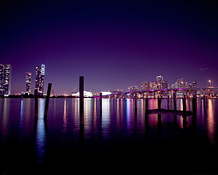 silhouette photo of sea dock, night, cityscape, Miami