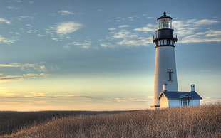 white and gray light house, lighthouse, landscape