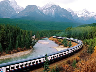 white and black train, nature, landscape, train, railway HD wallpaper