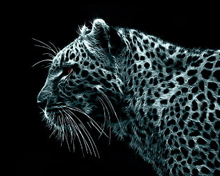 leopard graphic wallpaper, leopard, black background, Fractalius, animals