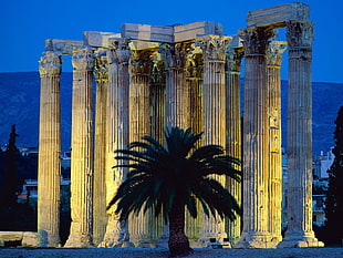 green palm tree and pillars, architecture, column, Temple of Zeus