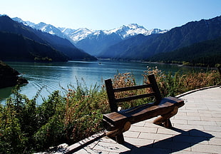 brown wooden bench overlooking mountains