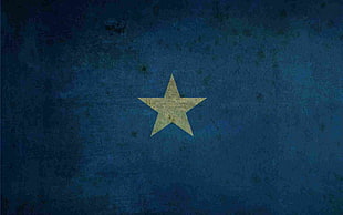 brown star logo