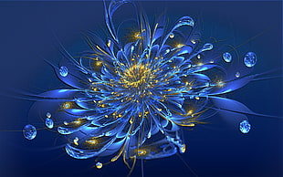 blue and yellow flower HD wallpaper
