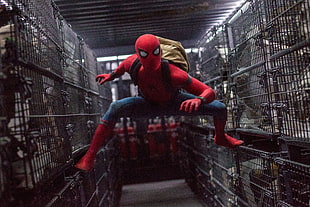photo of Amazing Spider-Man on top of cage HD wallpaper