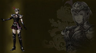 female warrior wallpaper, Dynasty Warriors 8, video games