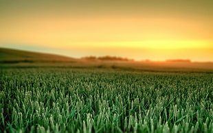 sunrise over the horizon