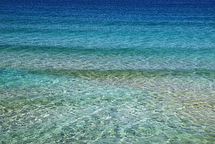 clear calm water at daytime HD wallpaper