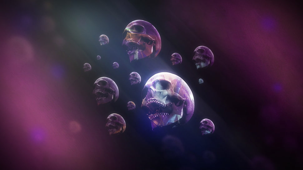 illustration of skulls HD wallpaper