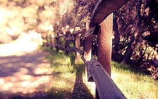 brown wooden fence, photography, fence, sunlight, grass HD wallpaper