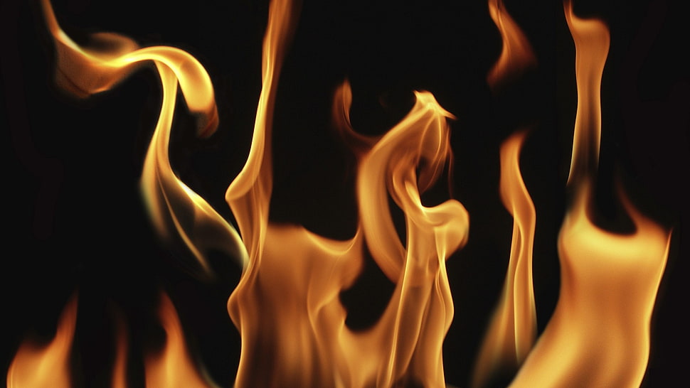 flame digital wallpaper, fire, closeup, simple background HD wallpaper