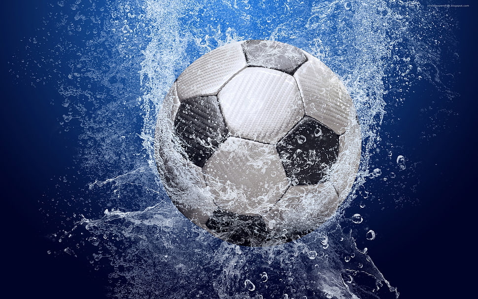 white and black soccer ball on water HD wallpaper