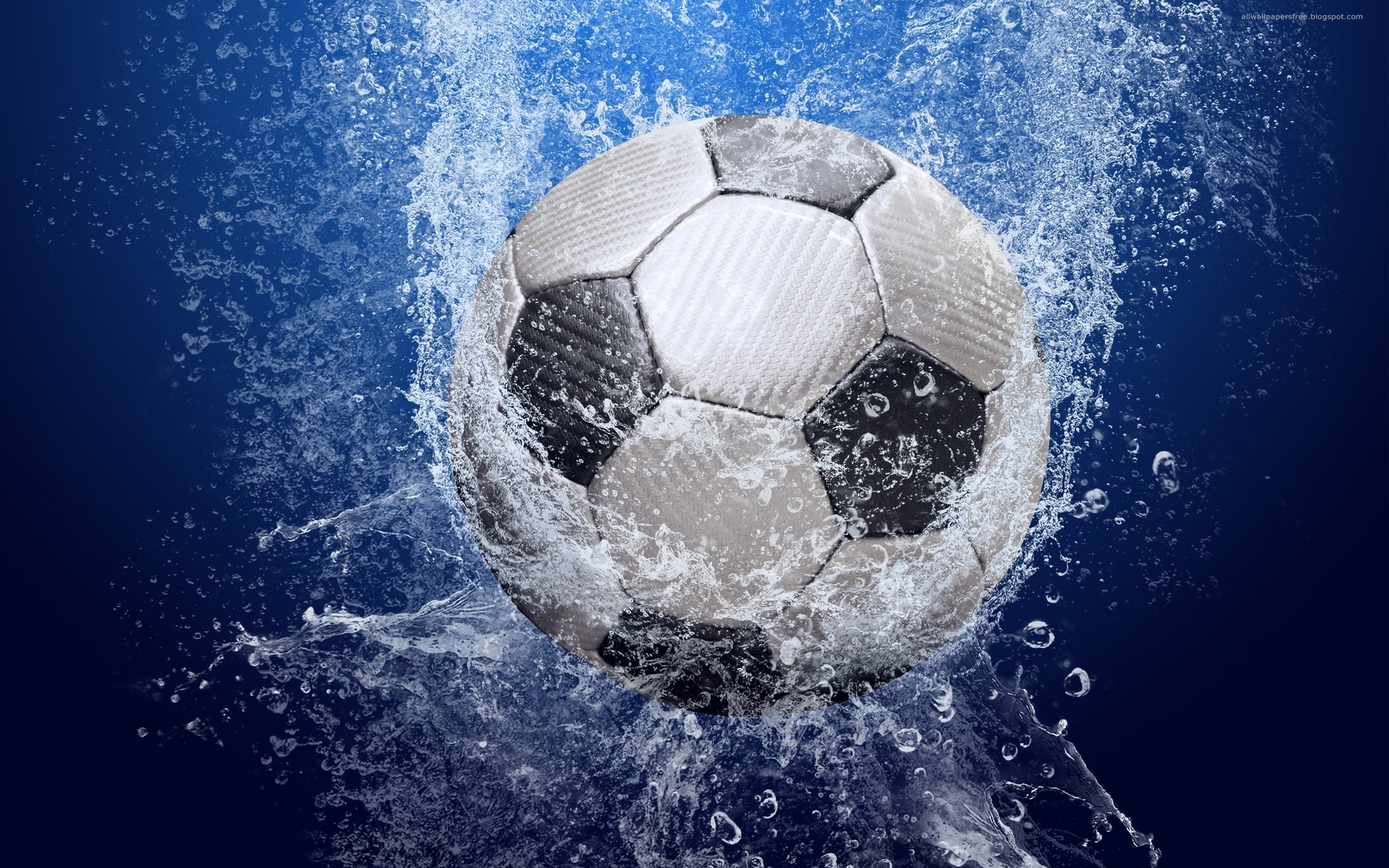 white and black soccer ball on water