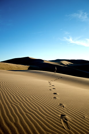 person walking on desert leaving footsteps during daytime HD wallpaper