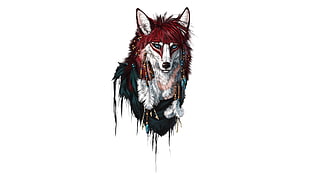 black, white, and red wolf graphic wallpaper, fox, drawing, feathers, colorful