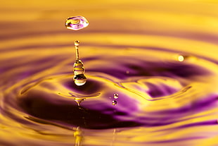 time lapse photography of water drops on water surface HD wallpaper