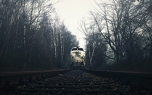 white train, dark, trees, railway, train