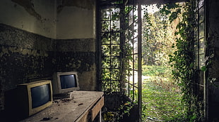 two gray CRT computer monitors, computer, nature HD wallpaper