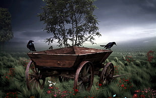 brown wooden carriage, vintage, artwork, vehicle, birds