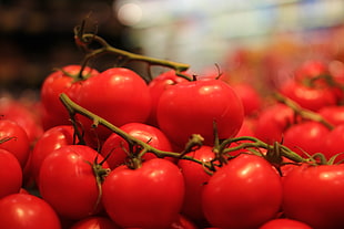 red cherry tomatoes HD wallpaper